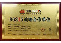 96315սԺλ