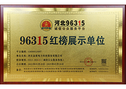 96315չʾλ